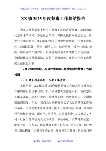 XX镇2025年度禁毒工作总结报告