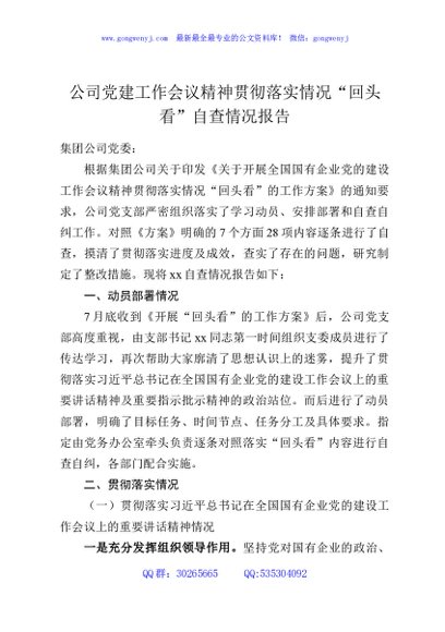 公司党建工作会议精神贯彻落实情况“回头看”自查情况报告