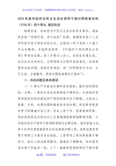 2024年度市政府办民主生活会领导干部对照检查材料（3755字）四个带头 意识形态