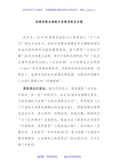 构建党建品牌提升党建质效发言稿