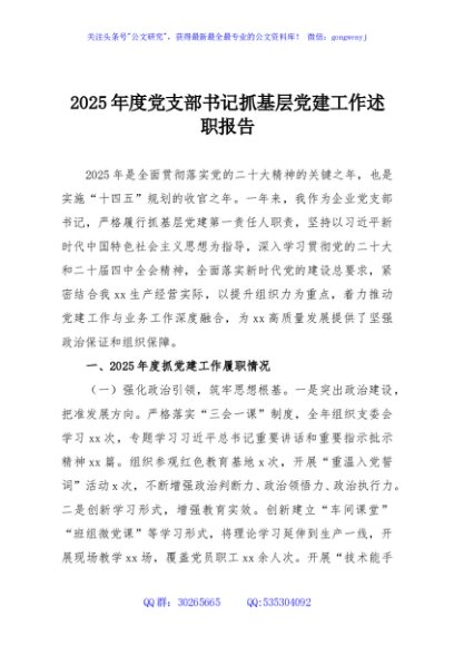 2025年度党支部书记抓基层党建工作述职报告