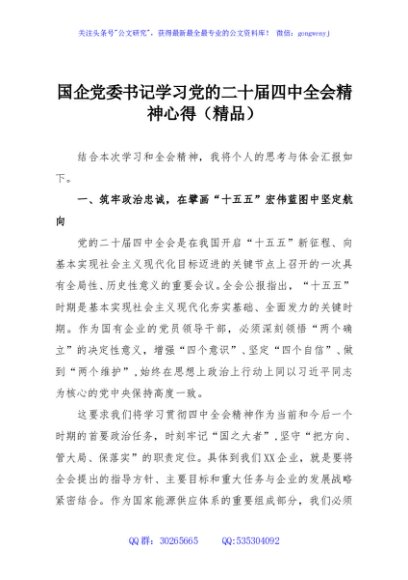 国企党委书记学习党的二十届四中全会精神心得（精品）
