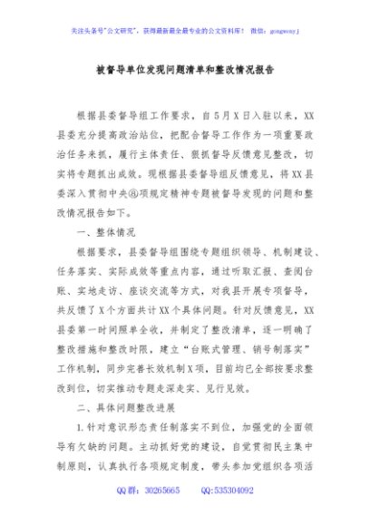 被督导单位发现问题清单和整改情况报告