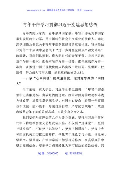 青年干部学习贯彻习近平党建思想感悟