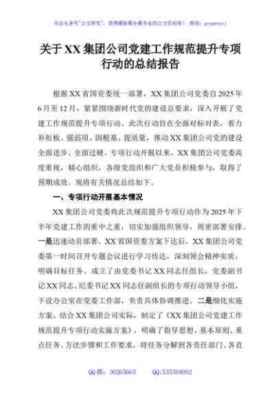 关于XX集团公司党建工作规范提升专项行动的总结报告