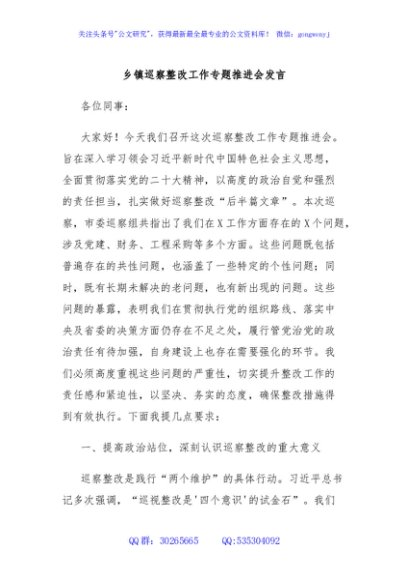 乡镇巡察整改工作专题推进会发言