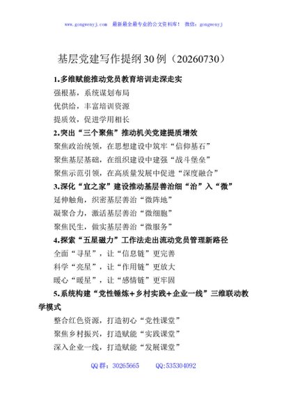 基层党建写作提纲30例（20260730）