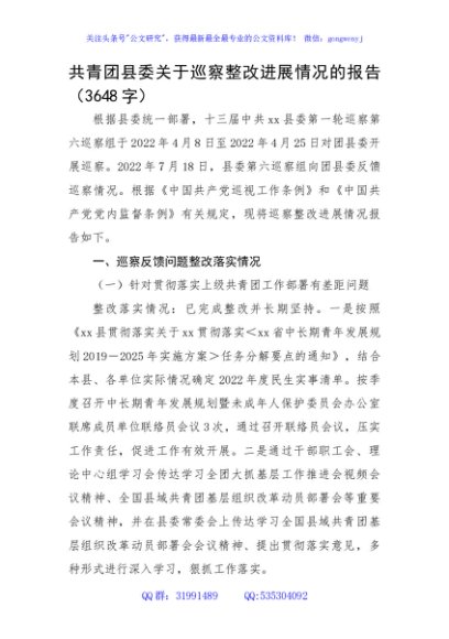 共青团县委关于巡察整改进展情况的报告