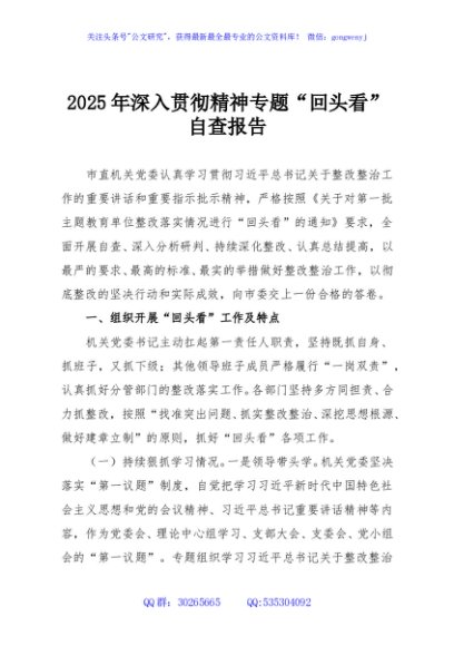 2025年深入贯彻精神专题“回头看”自查报告