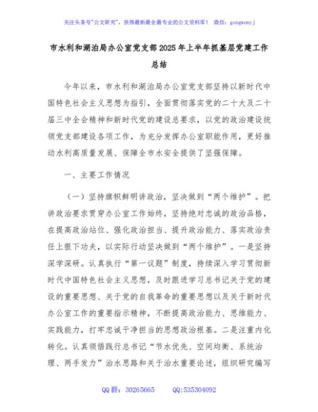 市水利和湖泊局办公室党支部2025年上半年抓基层党建工作总结