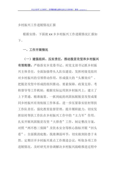 乡村振兴工作进展情况汇报