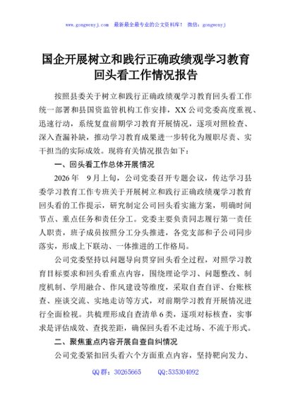 国企开展树立和践行正确政绩观学习教育回头看工作情况报告
