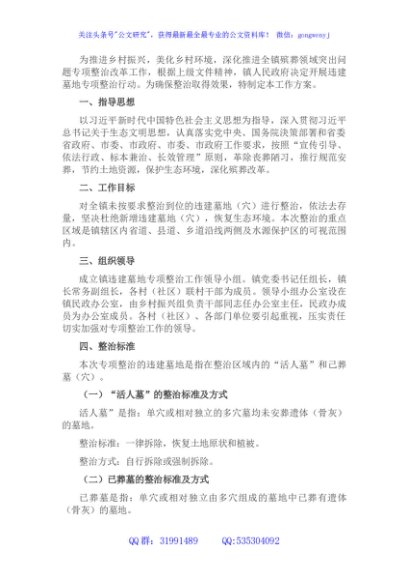 某镇违建墓地专项整治行动实施方案