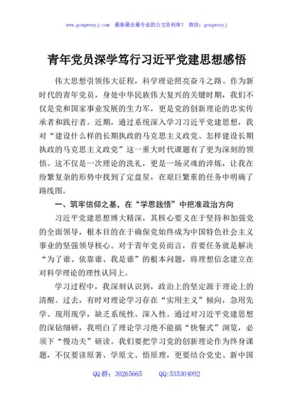 青年党员深学笃行习近平党建思想感悟