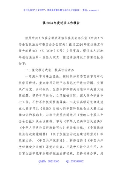 镇2024年度述法工作报告