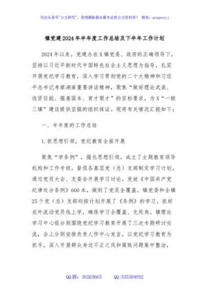 镇党建2024年半年度工作总结及下半年工作计划