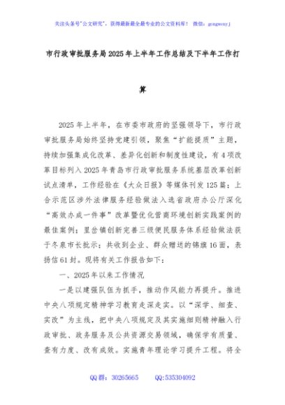 市行政审批服务局2025年上半年工作总结及下半年工作打算
