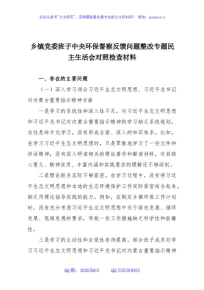 乡镇党委班子中央环保督察反馈问题整改专题民主生活会对照检查材料