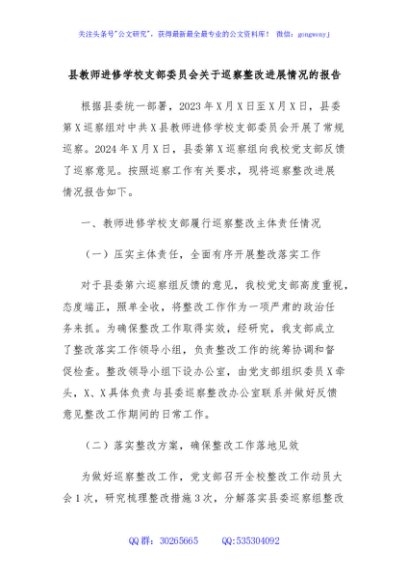 县教师进修学校支部委员会关于巡察整改进展情况的报告