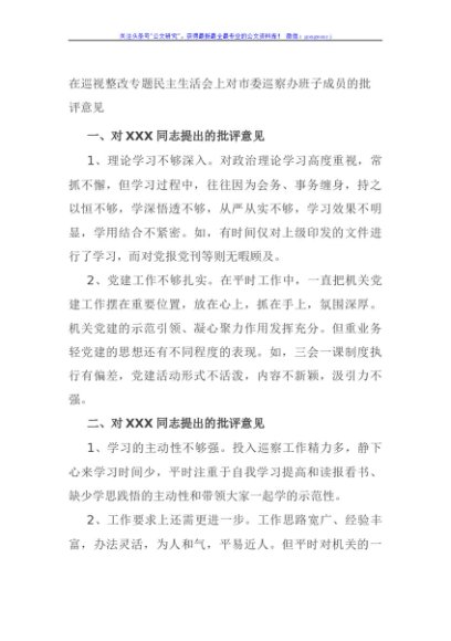 在巡视整改专题民主生活会上对市委巡察办班子成员的批评意见