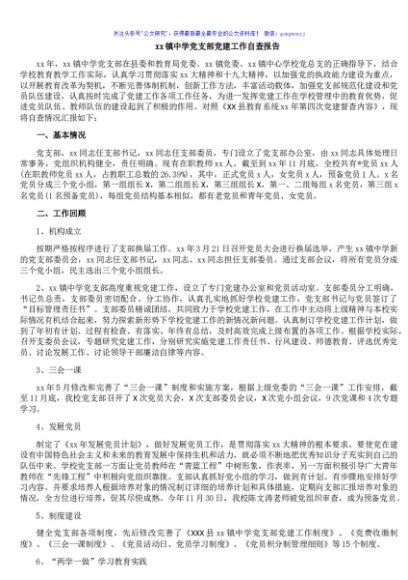 xx镇中学党支部党建工作自查报告