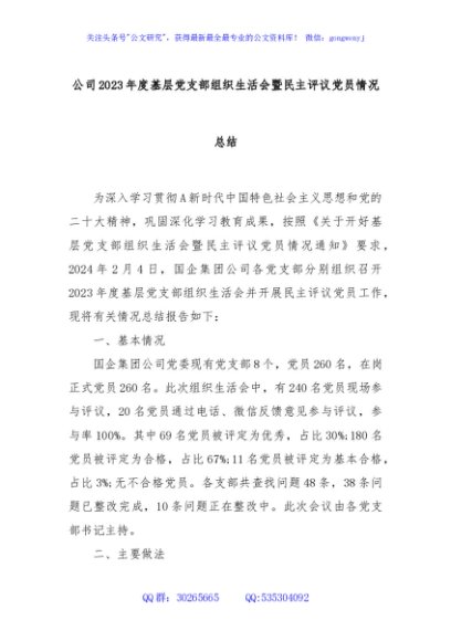 公司2023年度基层党支部组织生活会暨民主评议党员情况总结