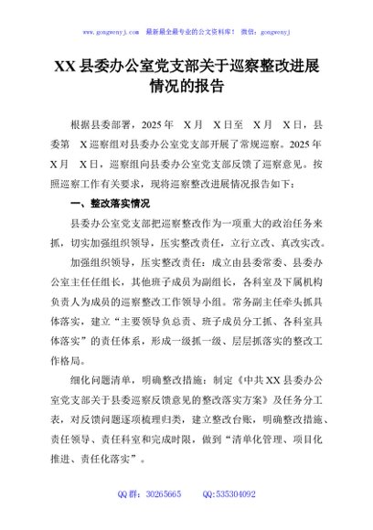XX县委办公室党支部关于巡察整改进展情况的报告
