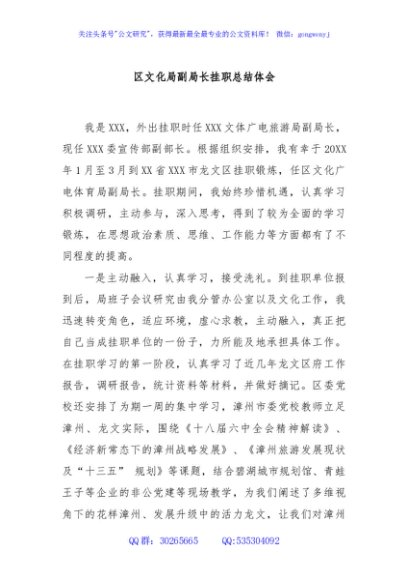 区文化局副局长挂职总结体会