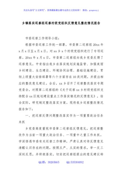 乡镇落实巡察组巡察村级党组织反馈意见整改情况报告
