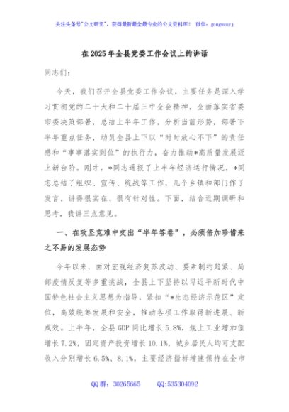 在2025年全县党委工作会议上的讲话