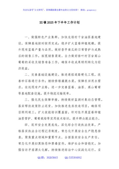 XX镇2025年下半年工作计划