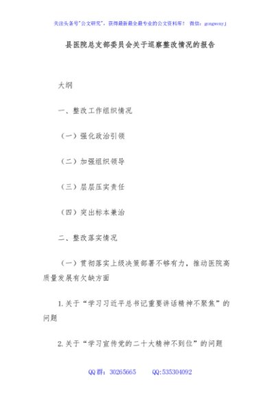 县医院总支部委员会关于巡察整改情况的报告