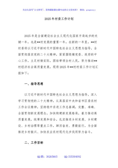 2025年村委工作计划
