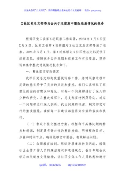 X社区党总支部委员会关于巡察集中整改进展情况的报告
