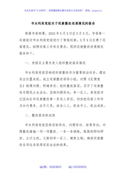 市水利局党组关于巡察整改进展情况的报告