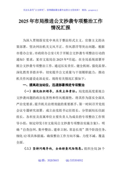 2025年市局推进公文抄袭专项整治工作情况汇报