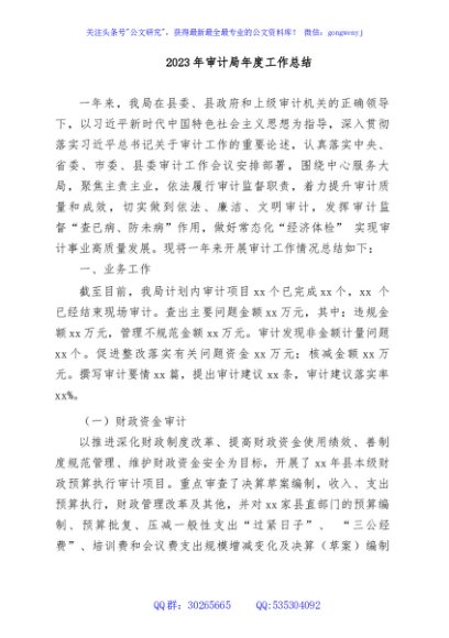 2023年审计局年度工作总结