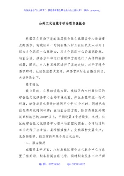 公共文化设施专项治理自查报告