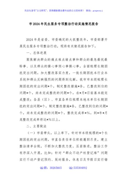 市2024年民生服务专项整治行动实施情况报告