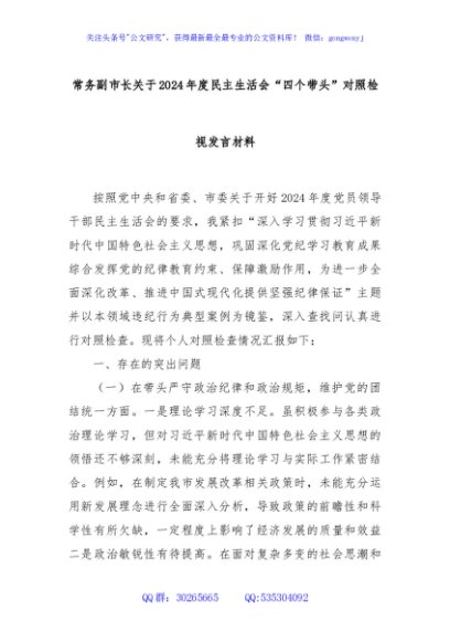 常务副市长关于2024年度民主生活会“四个带头”对照检视发言材料