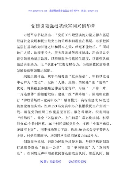 党建引领强根基绿富同兴谱华章