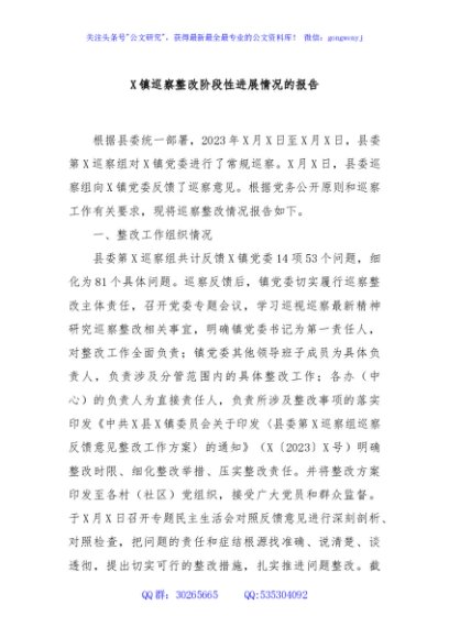 X镇巡察整改阶段性进展情况的报告