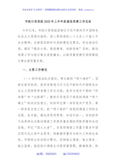 市统计局党组2025年上半年抓基层党建工作总结