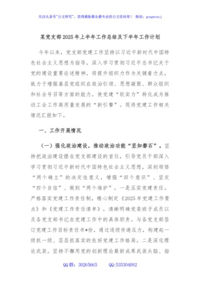 某党支部2025年上半年工作总结及下半年工作计划