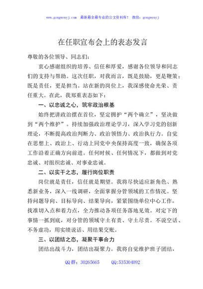 在任职宣布会上的表态发言