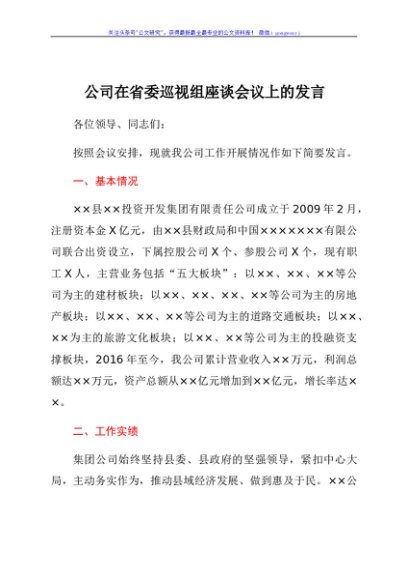 公司在省委巡视组座谈会议上的发言
