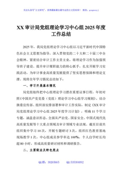 XX审计局党组理论学习中心组2025年度工作总结