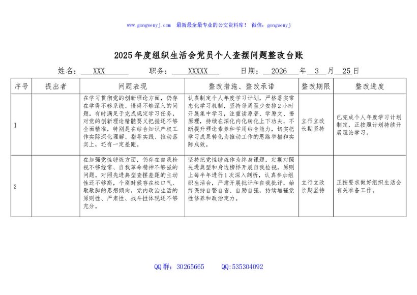 2025年度组织生活会党员个人查摆问题整改台账