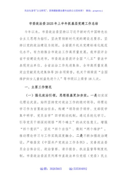 市委政法委2025年上半年抓基层党建工作总结