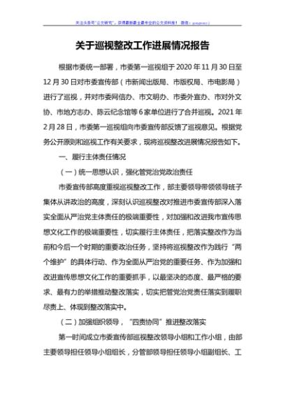 巡视整改工作进展情况报告